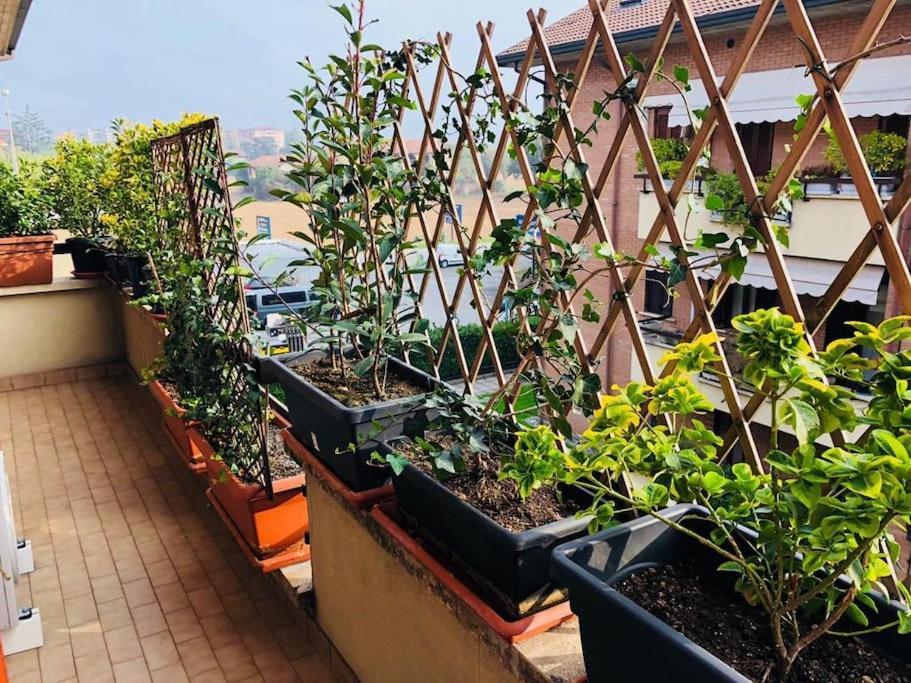 Ketty House B&B - Policlinico Di Monza, U-Power Stadium エクステリア 写真